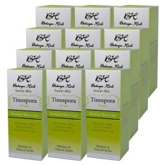 Botaya Herb BH Tinospora Serum โบทาย่า เฮิร์บ ไทโนสปอร่า เซรั่ม บอระเพ็ด สูตรใหม่ ขนาด 15 ml. 12 ขวด Botaya Herb BH Tinospora Serum โบทาย่า เฮิร์บ ไทโนสปอร่า เซรั่ม บอระเพ็ด สูตรใหม่ ขนาด 15 ml. 12 ขวด