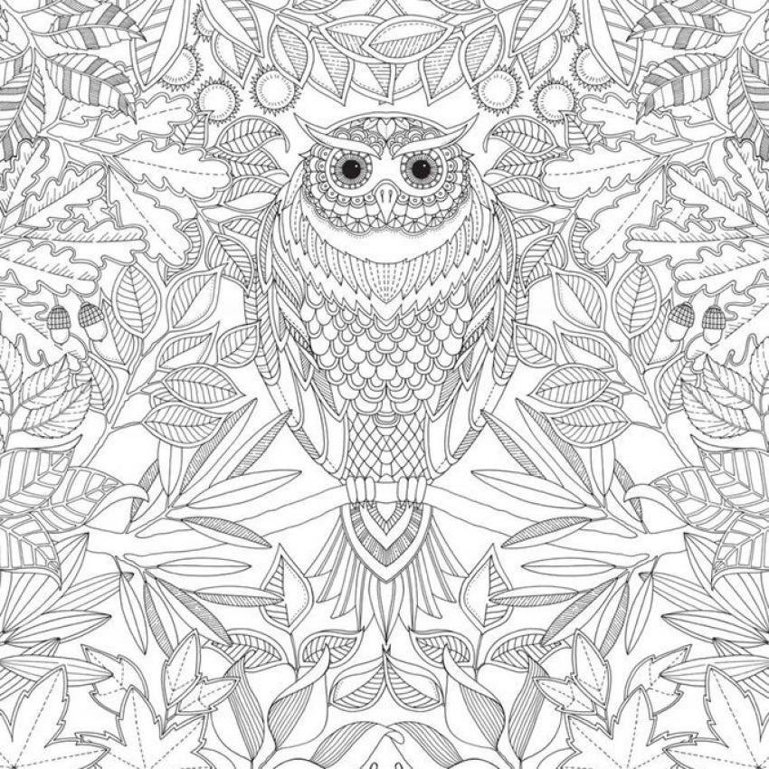 Secret Garden CAFE 2016 New An Inky Treasure Hunt And Coloring Bookfor Children Adult Relieve Stress