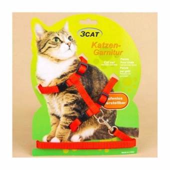 เปรียบเทียบราคา Cat Accessories สายรัดจูงแมว สีแดง ขนาด 120 ซม. สนใจซื้อ Cat Accessories สายรัดจูงแมว สีแดง ขนาด 120 ซม.