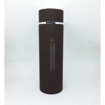 ขวดน้ำ H2O เก็บความร้อนความเย็น พร้อมที่กรองชา 450 ml-สีน้ำตาล ขวดน้ำ H2O เก็บความร้อนความเย็น พร้อมที่กรองชา 450 ml-สีน้ำตาล
