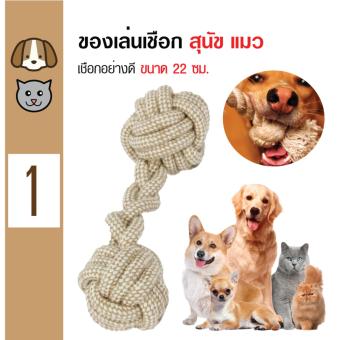 iPet ของเล่นสุนัข เชือกสุนัขกระดูก ทนทานพิเศษ สำหรับสุนัขทุกวัย ขนาด 2.5x22 ซม. iPet ของเล่นสุนัข เชือกสุนัขกระดูก ทนทานพิเศษ สำหรับสุนัขทุกวัย ขนาด 2.5x22 ซม.