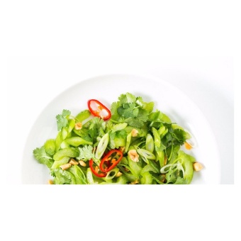 เมล็ดพืช Seeds คื่นช่ายยักษ์หรือขึ้นฉ่ายฝรั่ง Celery เมล็ดพันธุ์ คุณภาพนำเข้า 200 เมล็ด July 2018 - 5 เมล็ดพืช Seeds คื่นช่ายยักษ์หรือขึ้นฉ่ายฝรั่ง Celery เมล็ดพันธุ์ คุณภาพนำเข้า 200 เมล็ด - 5