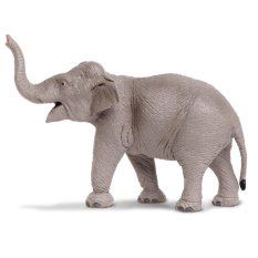 Safari Ltd. โมเดลสัตว์ Asian Elephant Safari Ltd. โมเดลสัตว์ Asian Elephant