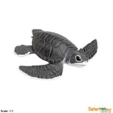Safari Ltd. โมเดลสัตว์ Sea Turtle Baby Safari Ltd. โมเดลสัตว์ Sea Turtle Baby