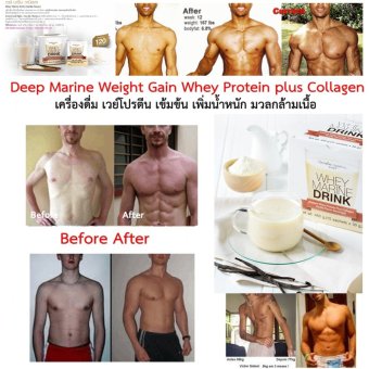 2560 Giffarine Deep Marine Weight Gain Whey Protein plus Collagen เวย์ โปรตีน มารีน ดริ้งก์ ผสมคอลลาเจน กลิ่นวนิลา เครื่องดื่ม เวย์โปรตีน เข้มข้น เพิ่ม น้ำหนัก กล้ามเนื้อ 15ซอง x 30 กรัม