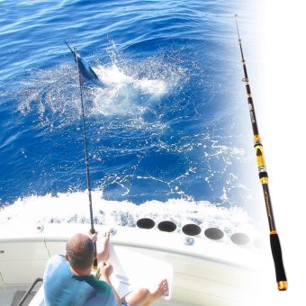 2.4M Carbon Fiber Portable Ultralight Travel Telescopic Fishing Rod Sea Spinning Pole - Intl July 2018 - 5 2.4M Carbon fiber Portable Ultralight Travel Telescopic Fishing Rod Sea Spinning Pole - intl - 5