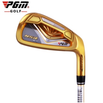 2561 EXCEED PGM IRON เหล็ก 7 ก้านเหล็ก PGM NSR GOLD TIG004 ( STEEL FLEX ) สีทองอร่าม