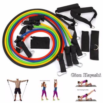 ซื้อ/ขาย Hayashi - ชุดยางยืดออกกำลังกาย 5in1 Elastic Resistance Fitness