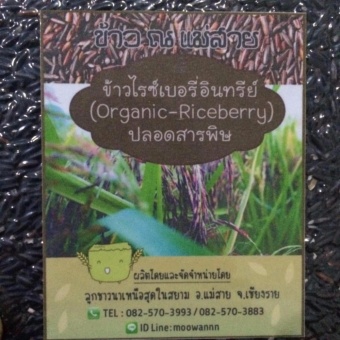 ข้าวไรซ์เบอรี่ By ข้าว ณ แม่สาย April 2018 - 2 ข้าวไรซ์เบอรี่ by ข้าว ณ แม่สาย - 2