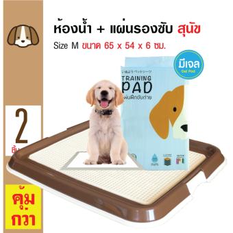 Dr.Lee ถาดฝึกฉี่ ถาดรองซับ ห้องน้ำสุนัข Size M 65x54x6 ซม. (สีน้ำตาล) + Hajiko แผ่นรองซับสัตว์เลี้ยง รุ่นมีเจล ขนาด 45x60 ซม. (50 แผ่น/ แพ็ค) Dr.Lee ถาดฝึกฉี่ ถาดรองซับ ห้องน้ำสุนัข Size M 65x54x6 ซม. (สีน้ำตาล) + Hajiko แผ่นรองซับสัตว์เลี้ยง รุ่นมีเจล ขนาด 45x60 ซม. (50 แผ่น/ แพ็ค)